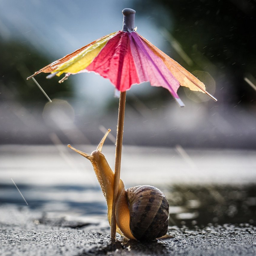 Каждая погода благодать!